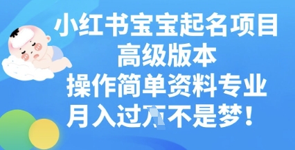小红书宝宝起名项目高级版本，操作简单，资料专业，月入过W-复盘人