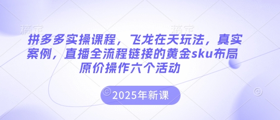 拼多多实操课程，飞龙在天玩法，真实案例，直播全流程链接的黄金sku布局原价操作六个活动-复盘人
