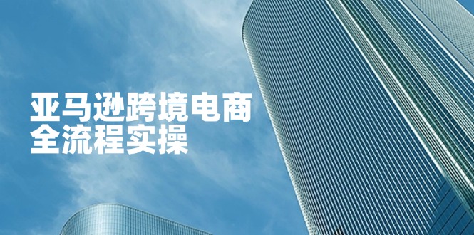 （14252期）亚马逊跨境电商全流程实操，教你从零开始，掌握店铺运营与广告技巧-复盘人