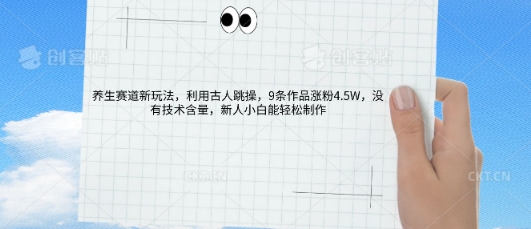 AI养生赛道新玩法，10条作品涨粉5.2W，操作简单，新人小白能轻松制作-复盘人