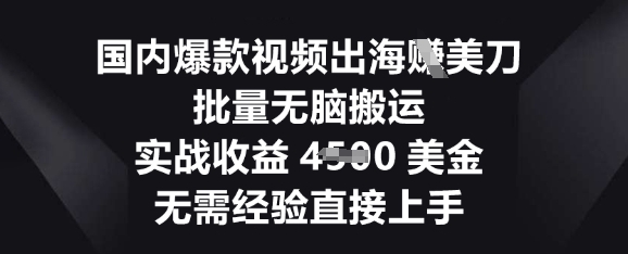 国内爆款视频出海挣美刀，批量无脑搬运，实战收益4.5k，无需经验直接上手-复盘人