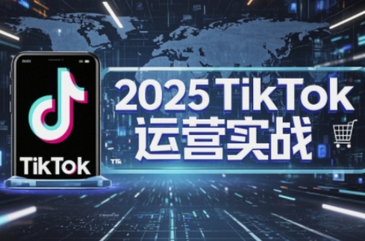 2025TikTok电商运营，掌握TikTok店铺运营核心技巧，实现低成本高转化-复盘人