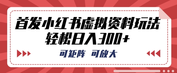 首发小红书虚拟资料玩法，可矩阵，可放大，轻松日入3张-复盘人