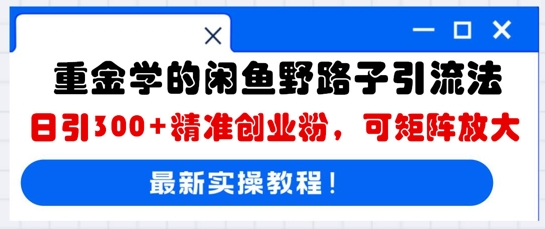 重金学的闲鱼野路子引流法，日引300+精准创业粉，可矩阵放大-复盘人