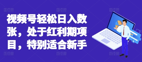 视频号轻松日入数张，处于红利期项目，特别适合新手-复盘人