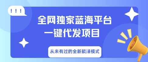 全网独家蓝海平台一键代发项目，从未有过的全新躺Z模式-复盘人
