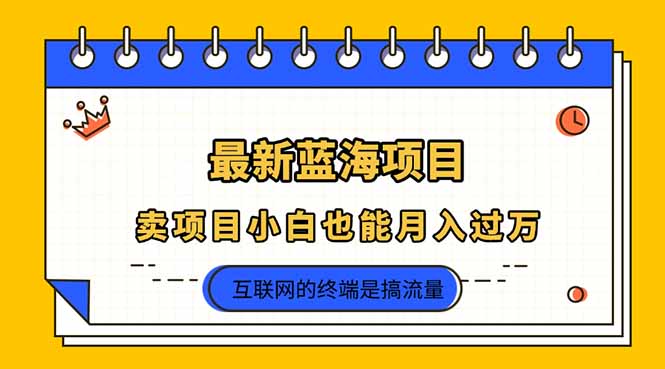 （14289期）2025年最新蓝海项目，卖项目小白也能月入过万-复盘人