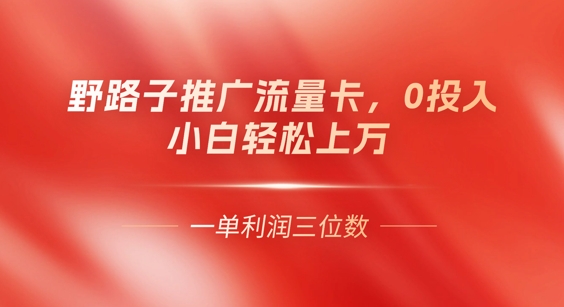 0门槛推广流量卡，一单收益上百，0投入，小白月入过W-复盘人