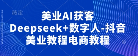 美业AI获客Deepseek+数字人-抖音美业教程电商教程-复盘人
