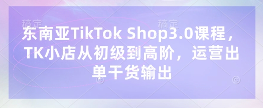 东南亚TikTok Shop3.0课程，TK小店​从初级到高阶，运营出单干货输出-复盘人