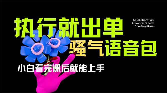 （14170期）爆火全网的开车导航骚气语音包,只要执行就出单，小白看完课程就能实操...-复盘人