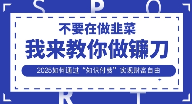 韭菜生涯终结者，我来教你做镰刀，2025如何通过“知识付费”实现财F自由【揭秘】-复盘人