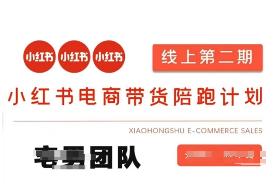 小红书电商带货课2期，月利润20个的小红书电商的有货源，无货源，虚拟产品，付费投流等整套玩法-复盘人