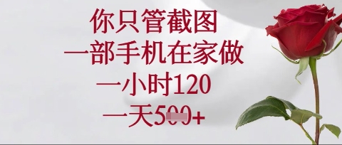 你只管截图，一部手机在家操作，一小时120.一天5张【揭秘】-复盘人